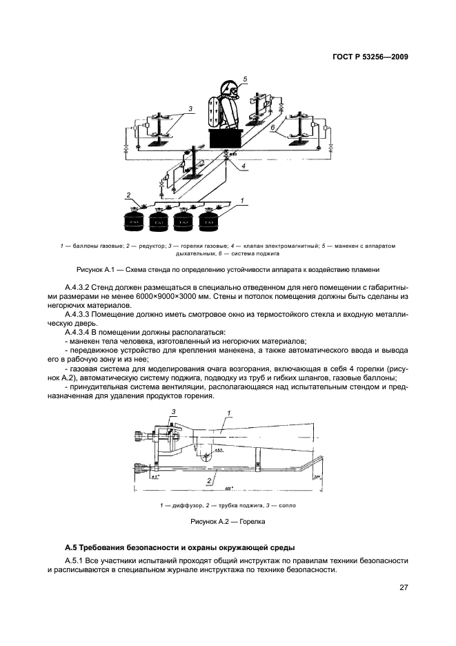 ГОСТ Р 53256-2009 31 страница