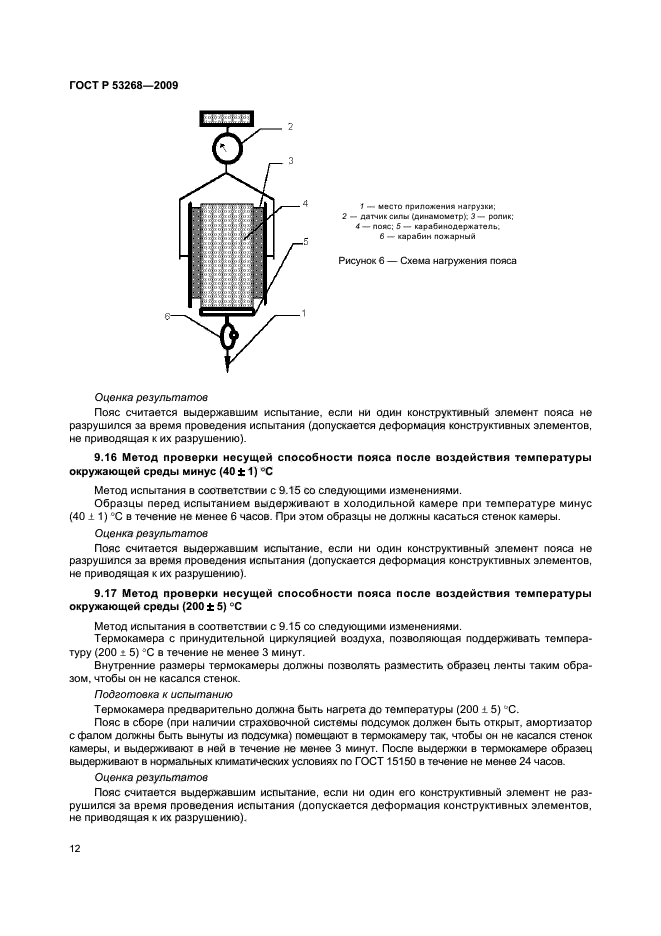 ГОСТ Р 53268-2009 15 страница